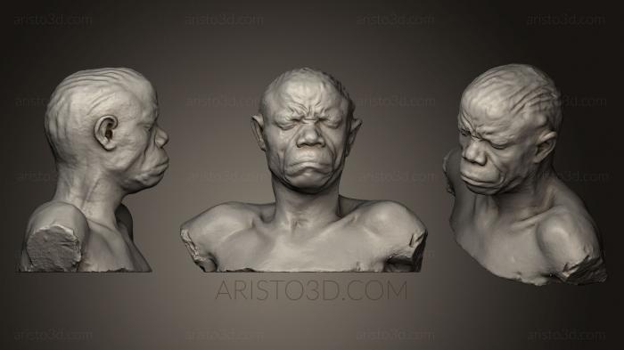 Busts and heads antique and historical (BUSTA_0550) 3D model for CNC machine